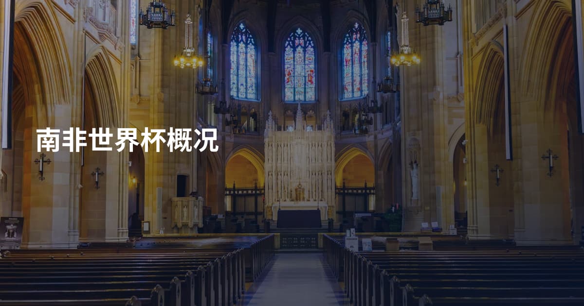 南非世界杯概况