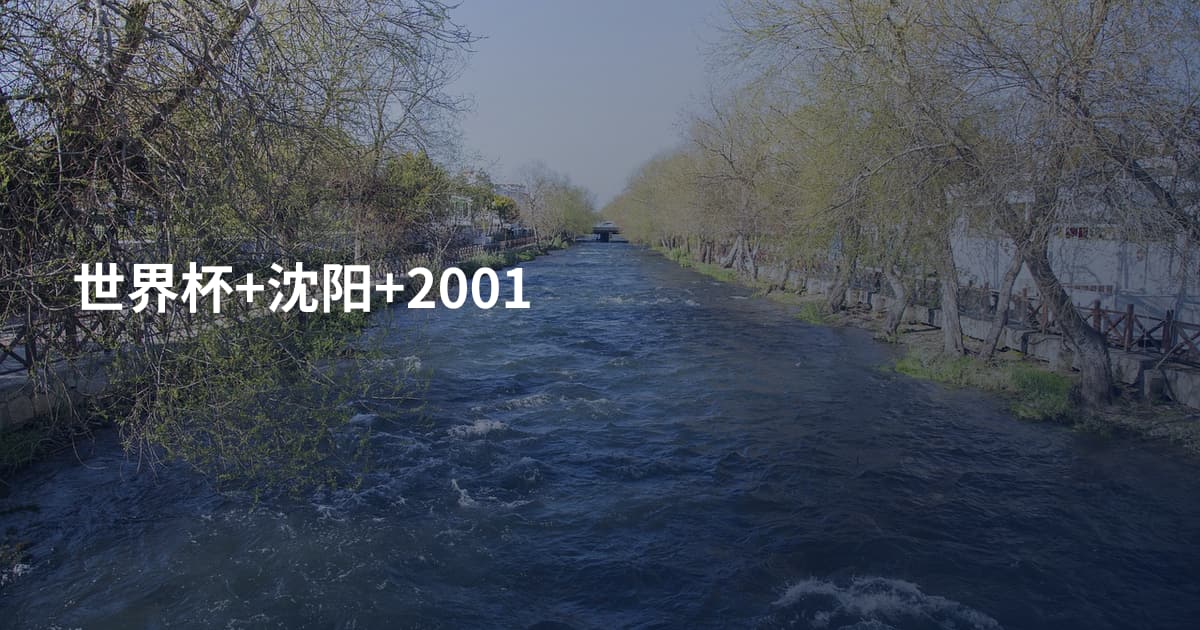 世界杯+沈阳+2001