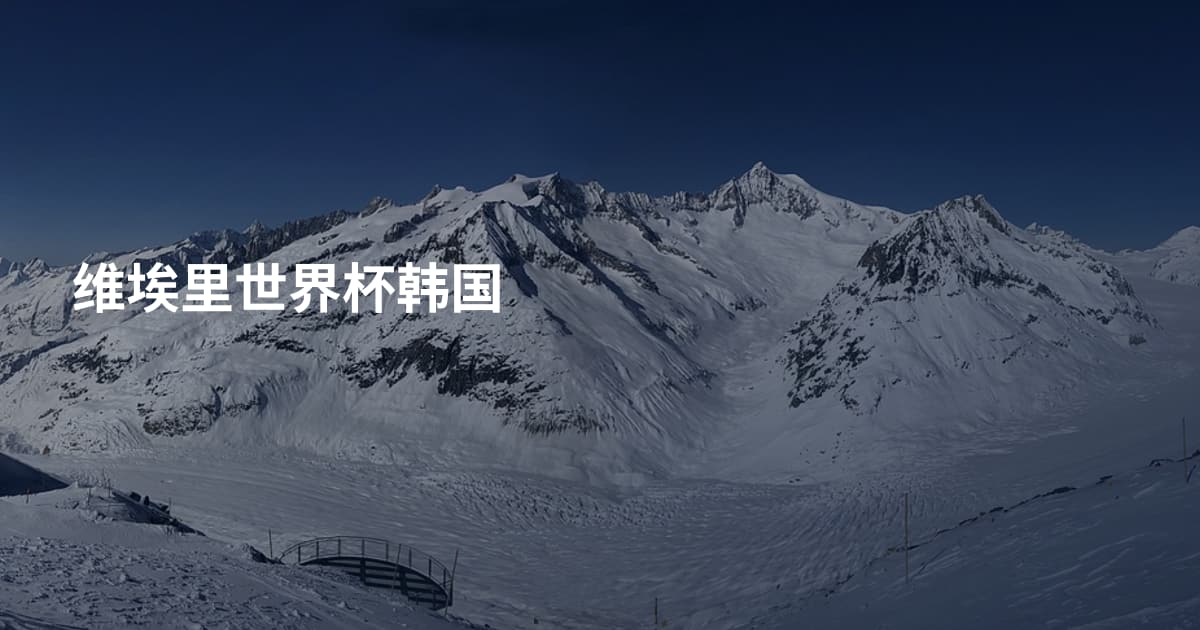 维埃里世界杯韩国