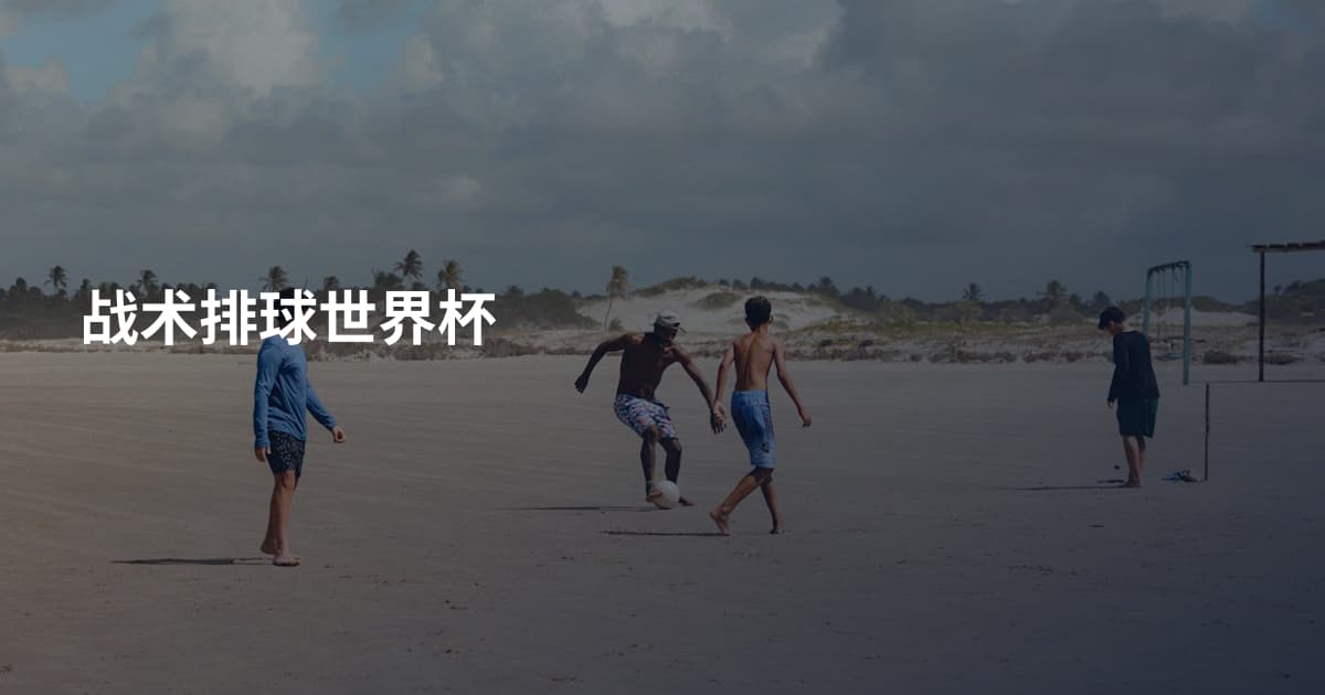 战术排球世界杯
