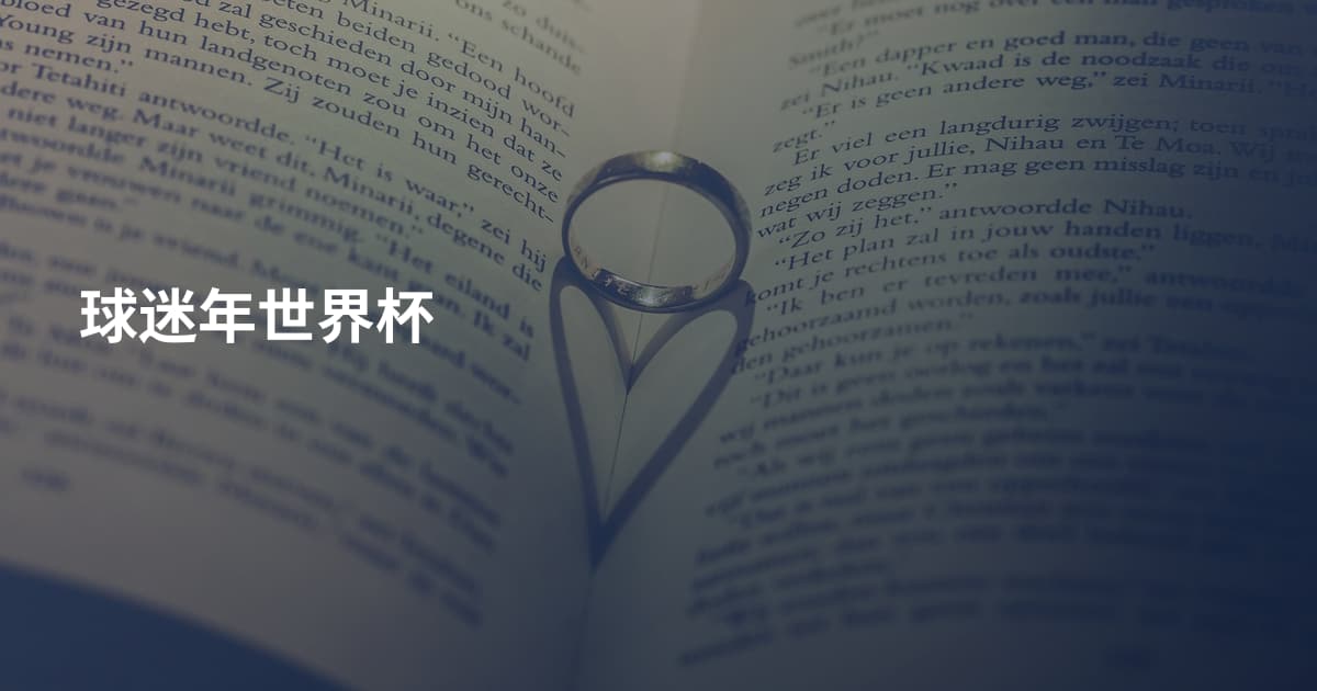 球迷年世界杯