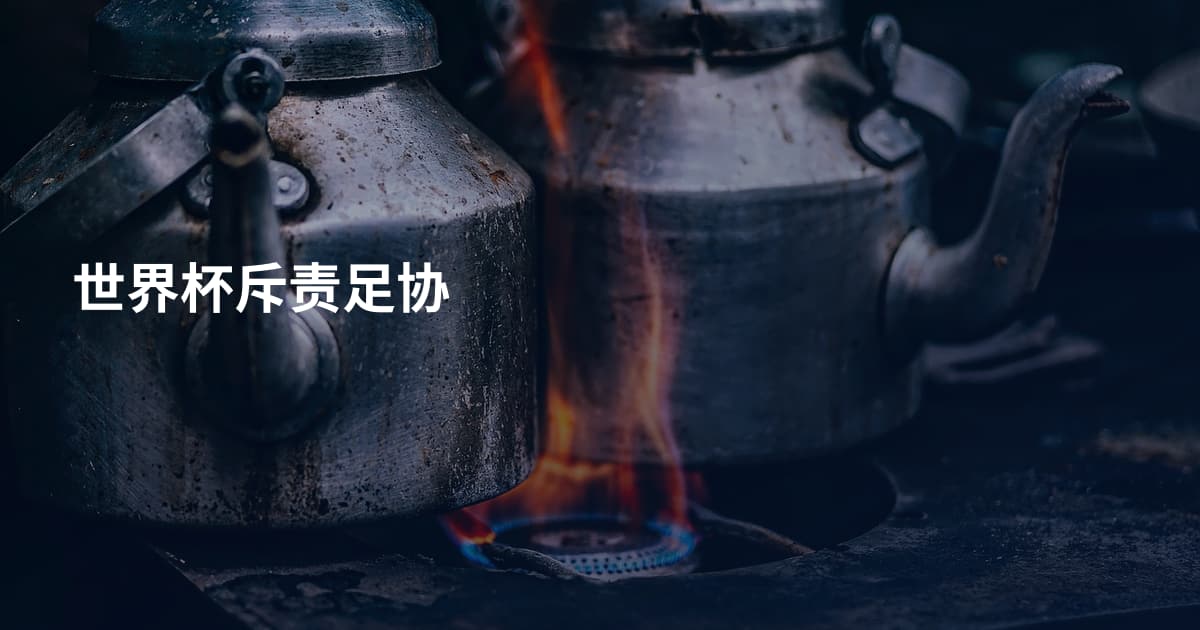 世界杯斥责足协