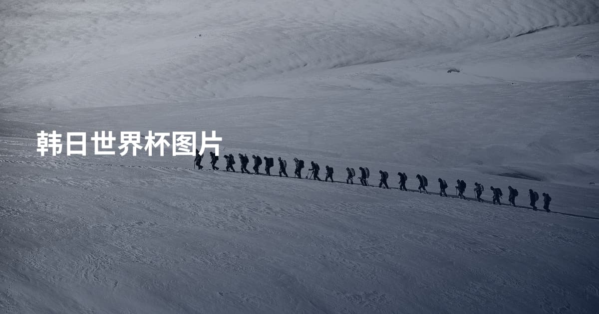 韩日世界杯图片