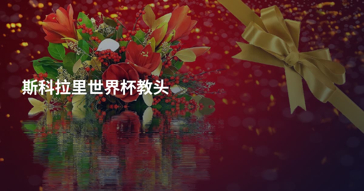斯科拉里世界杯教头