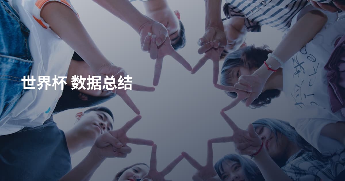 世界杯 数据总结
