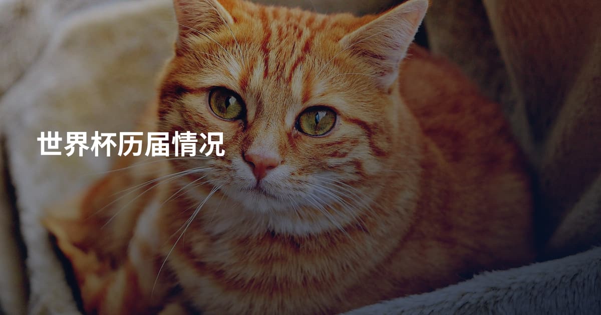 世界杯历届情况