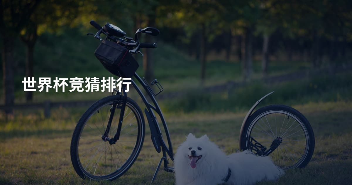 世界杯竞猜排行