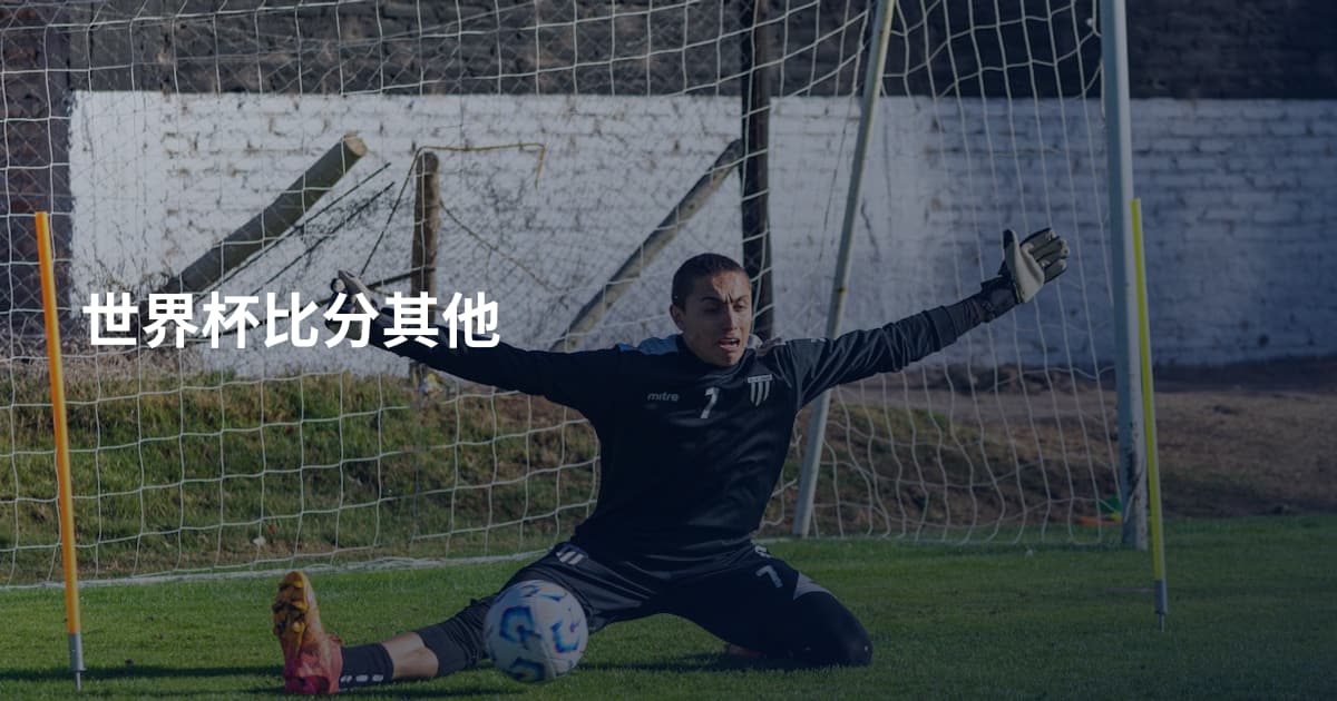 世界杯比分其他