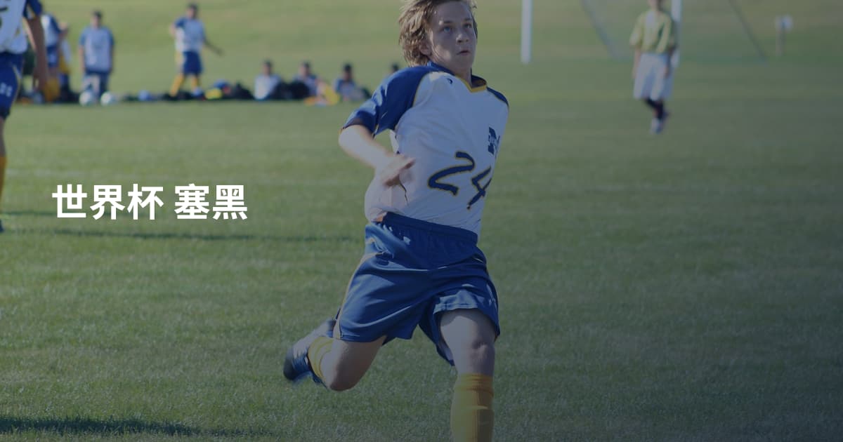 世界杯 塞黑