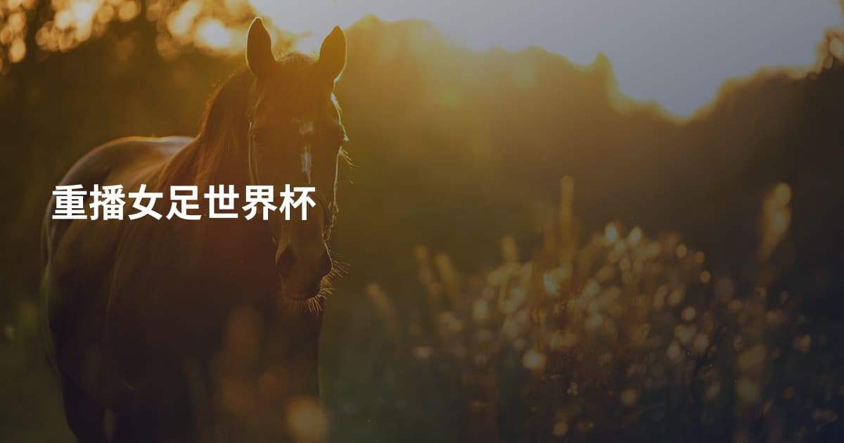 重播女足世界杯