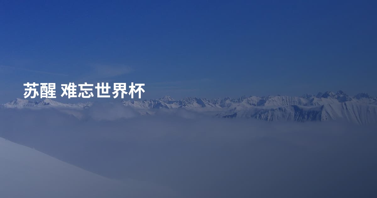 苏醒 难忘世界杯