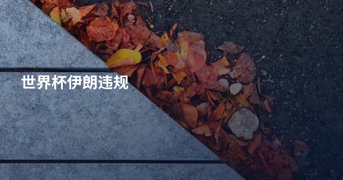 世界杯伊朗违规