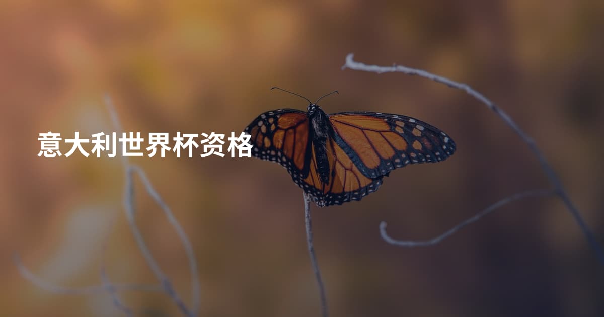 意大利世界杯资格