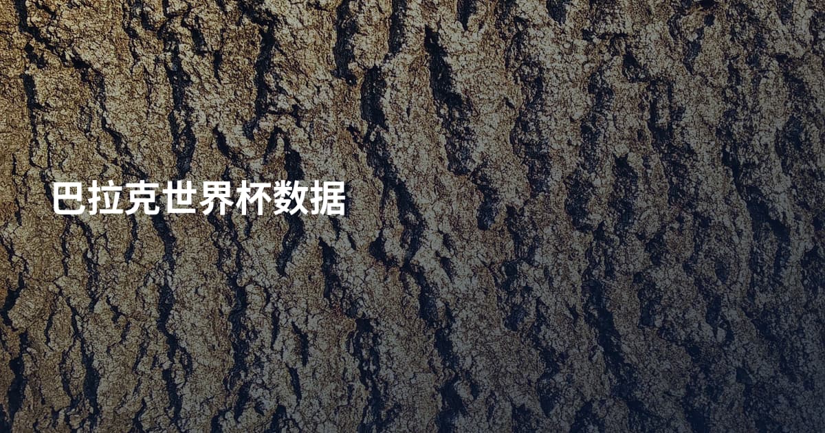巴拉克世界杯数据