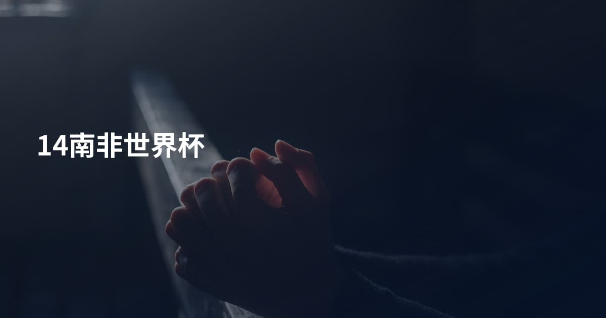 14南非世界杯