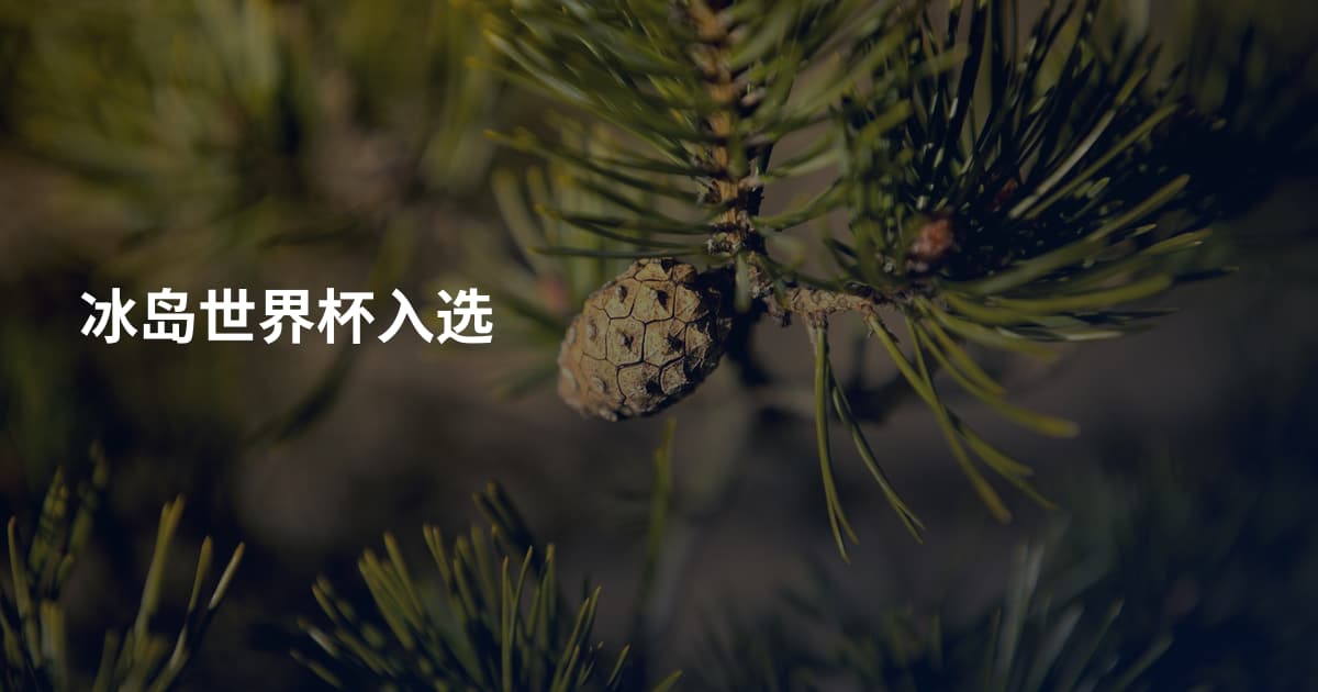 冰岛世界杯入选