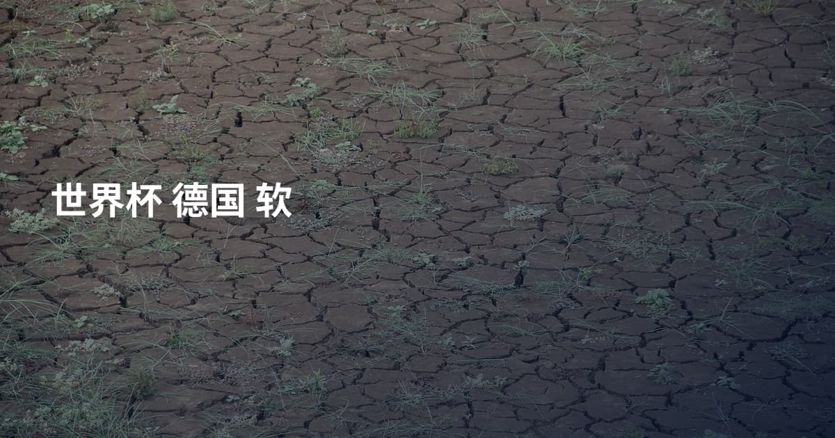 世界杯 德国 软