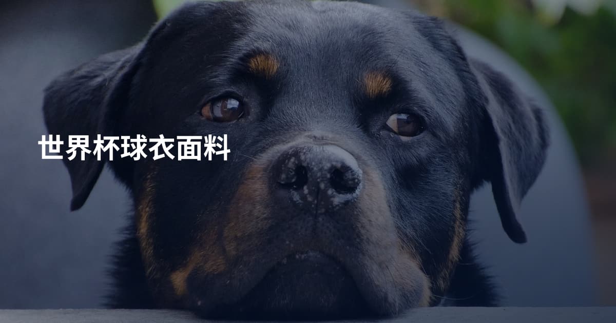 世界杯球衣面料