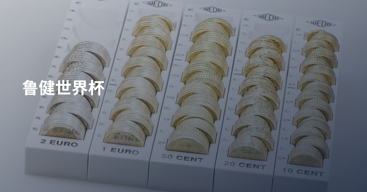 鲁健世界杯