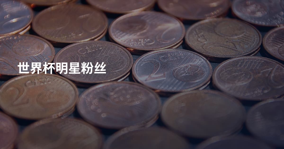 世界杯明星粉丝