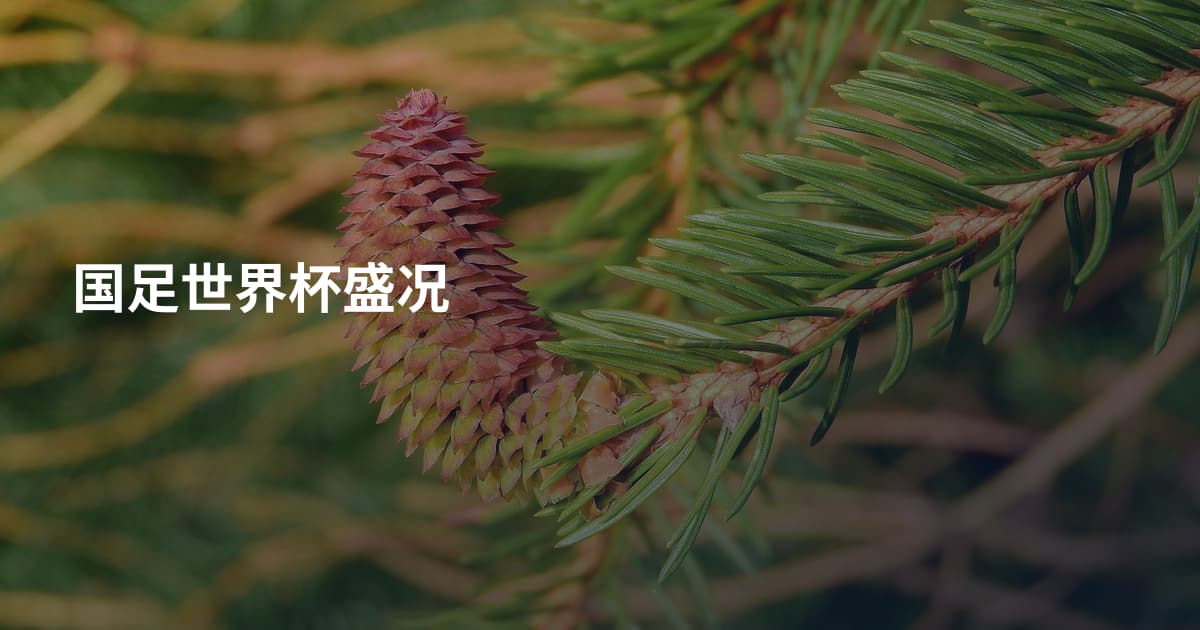 国足世界杯盛况