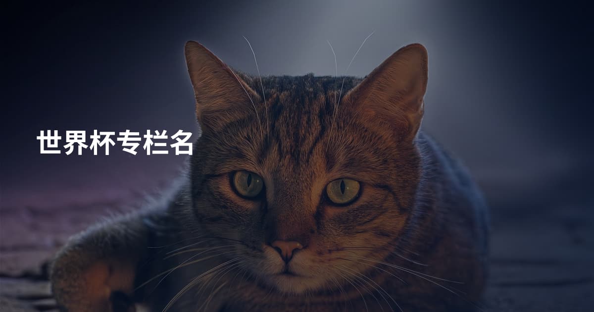 世界杯专栏名