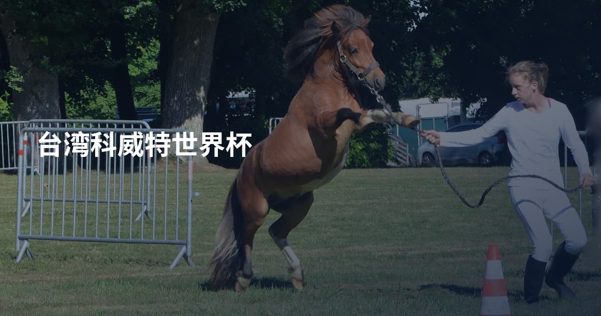 台湾科威特世界杯