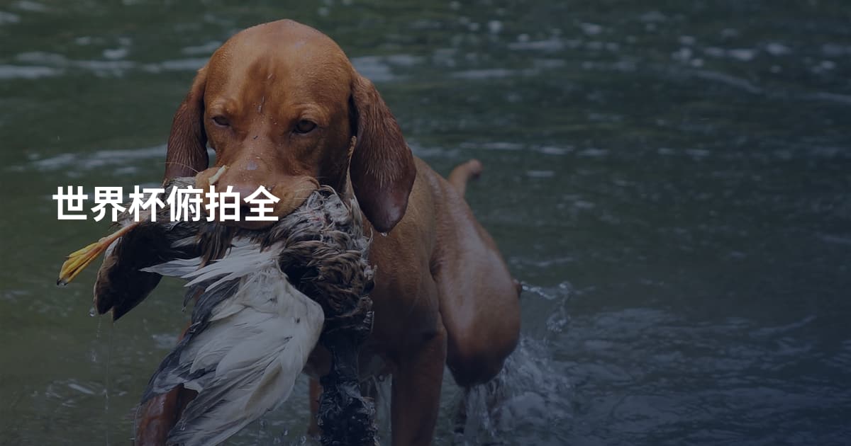 世界杯俯拍全