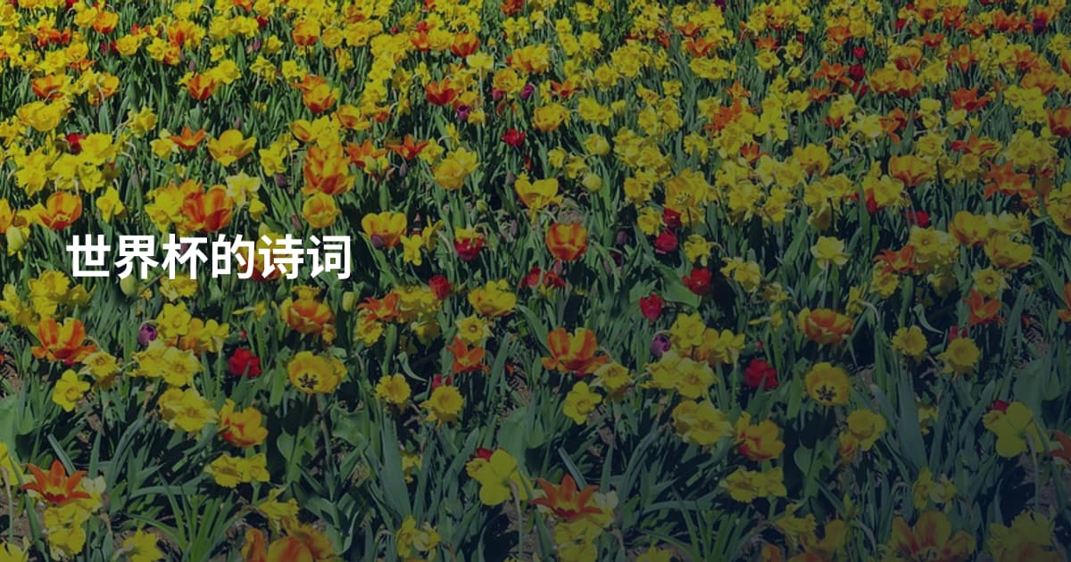 世界杯的诗词