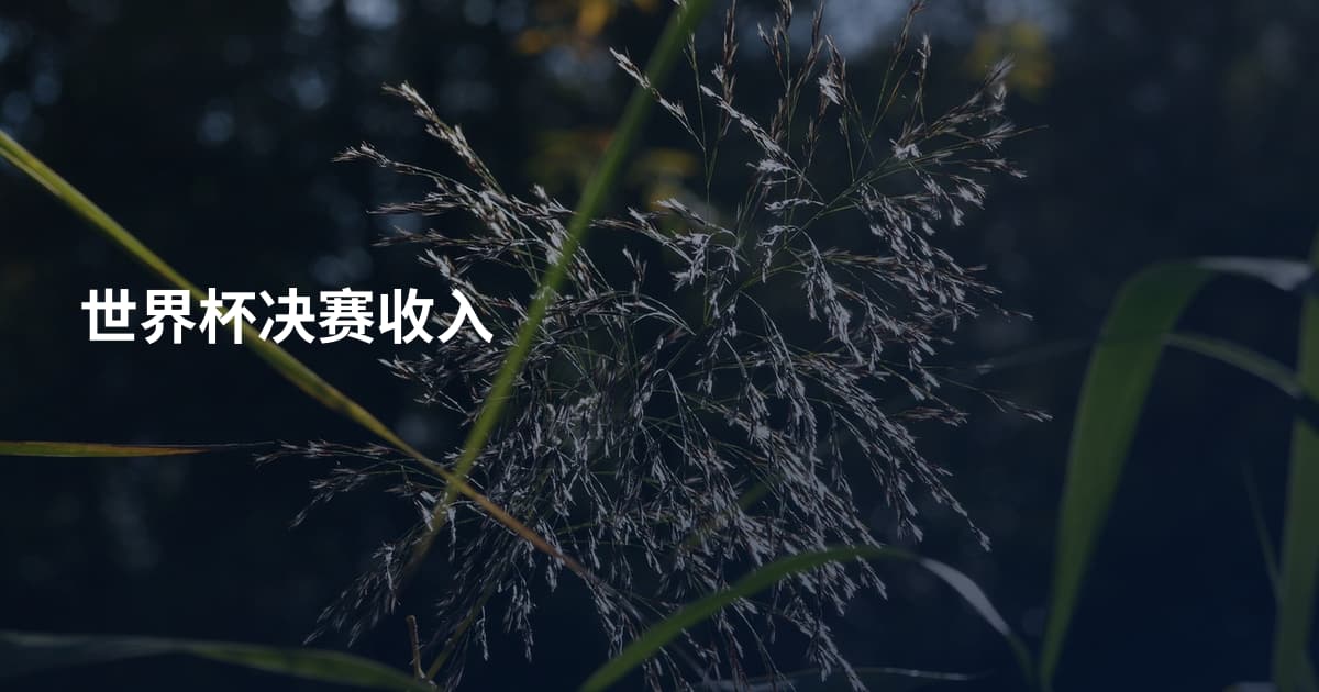 世界杯决赛收入