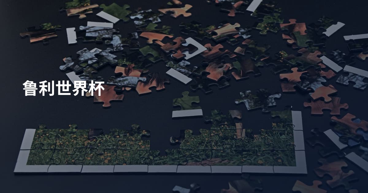 鲁利世界杯