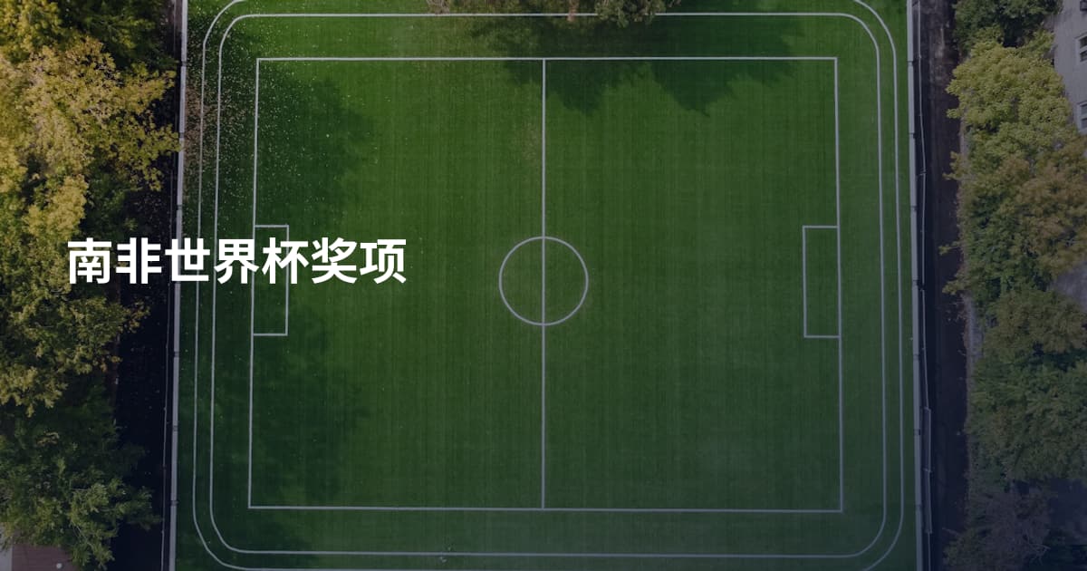 南非世界杯奖项