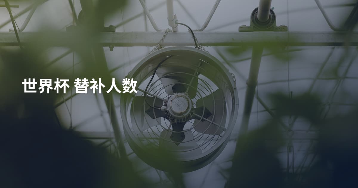 世界杯 替补人数
