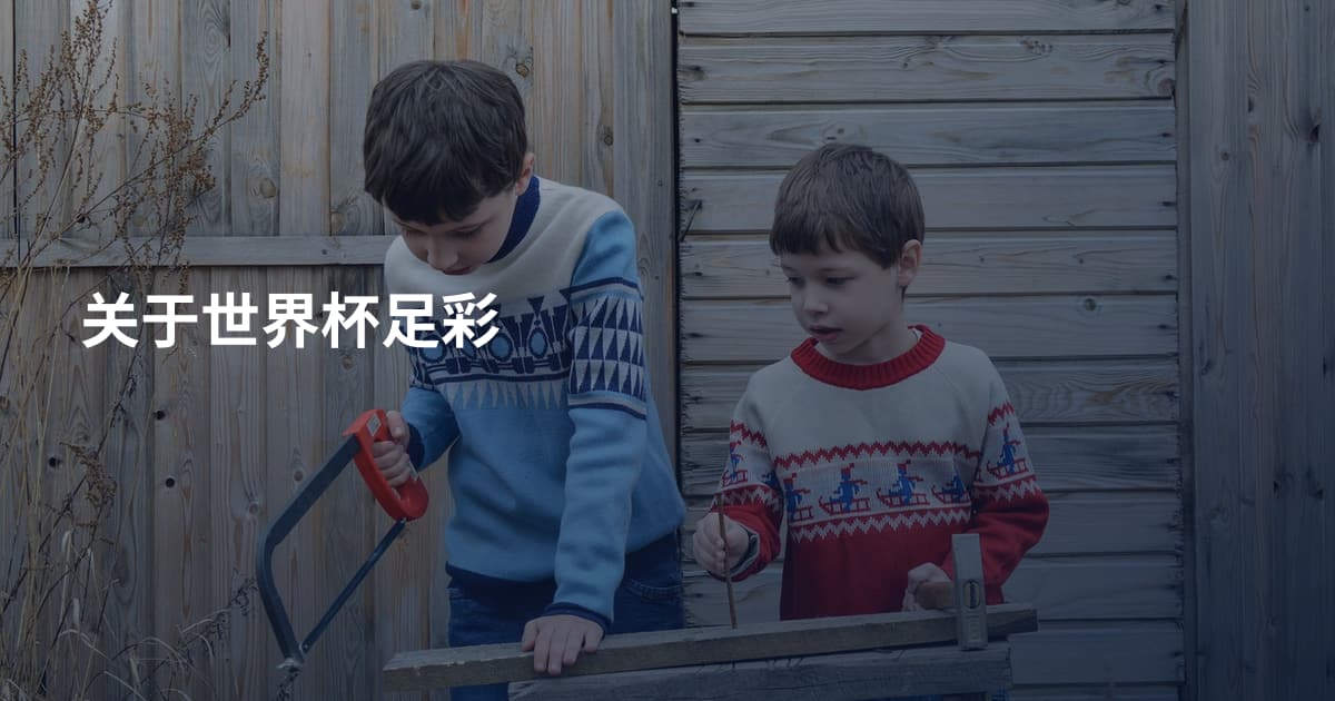 关于世界杯足彩