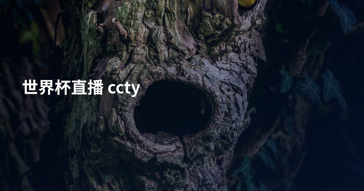 世界杯直播 ccty