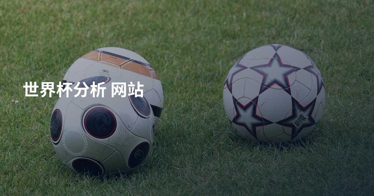 世界杯分析 网站