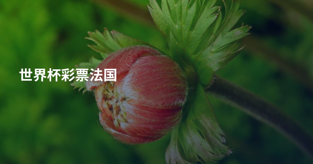 世界杯彩票法国