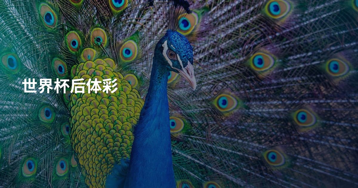 世界杯后体彩