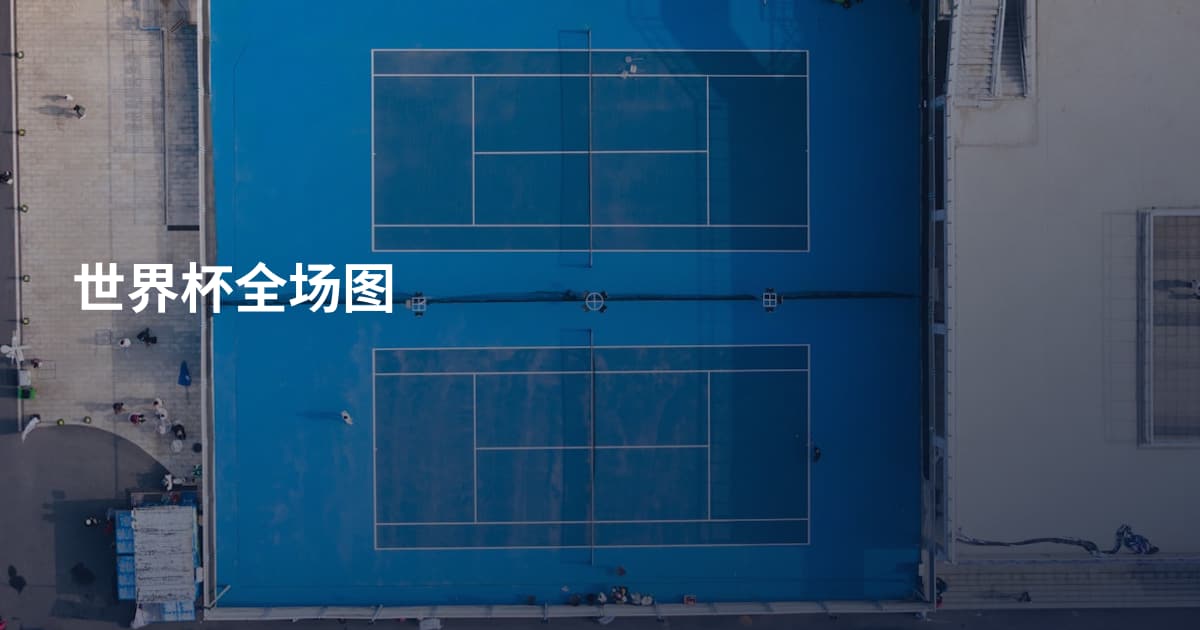 世界杯全场图