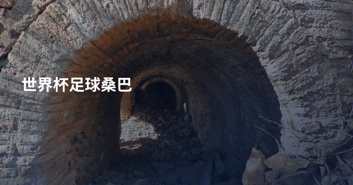 世界杯足球桑巴