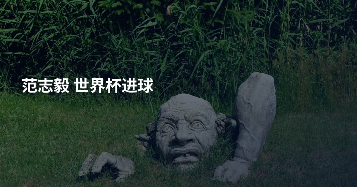 范志毅 世界杯进球