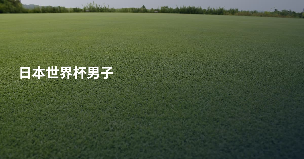 日本世界杯男子