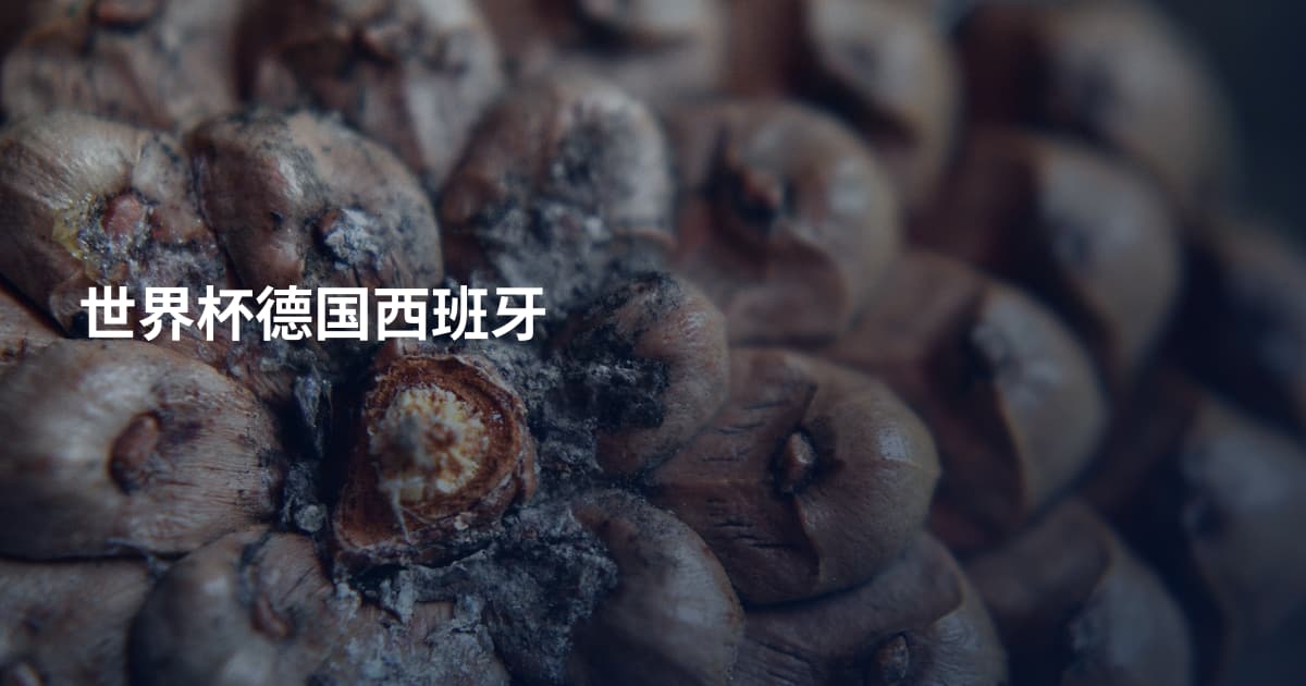 世界杯德国西班牙