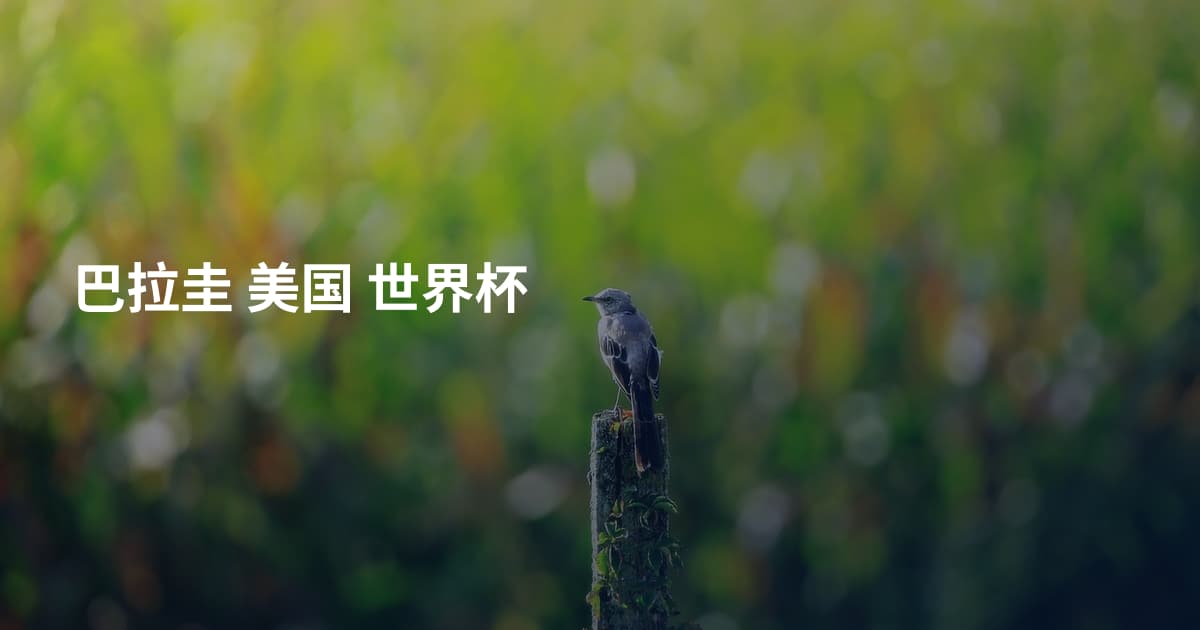 巴拉圭 美国 世界杯