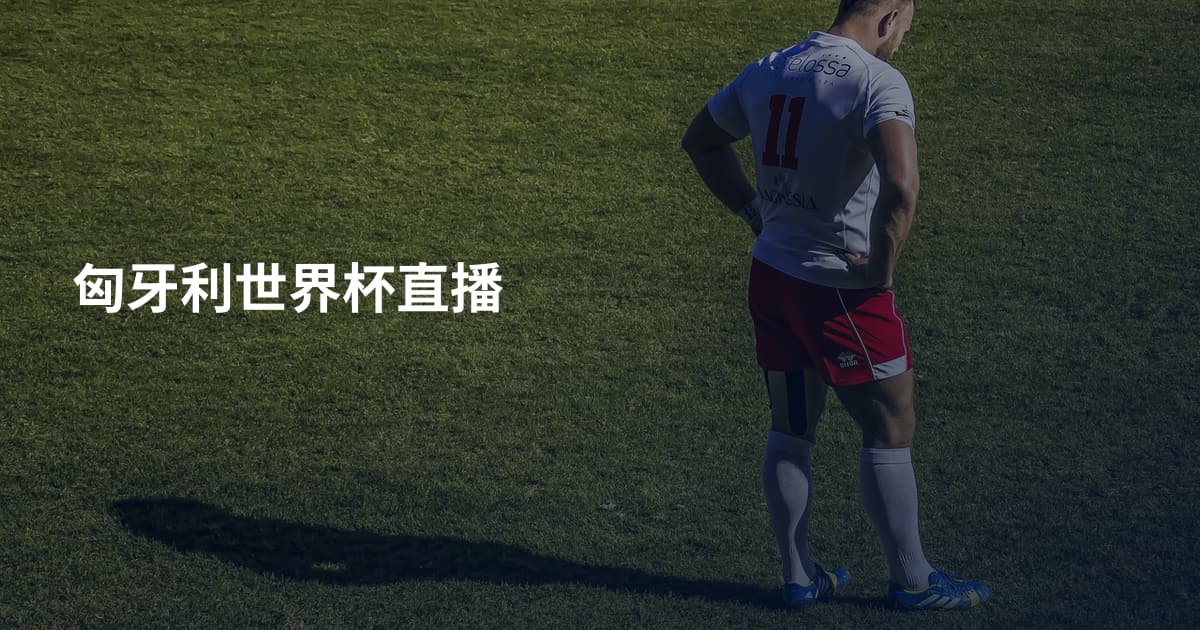 匈牙利世界杯直播