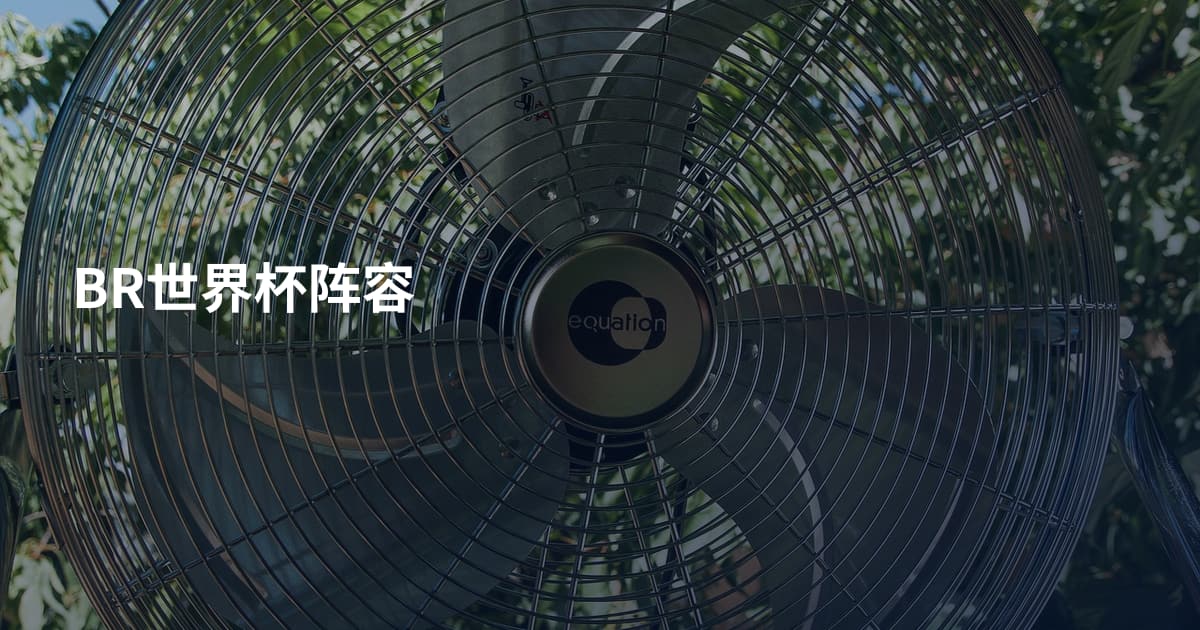 BR世界杯阵容