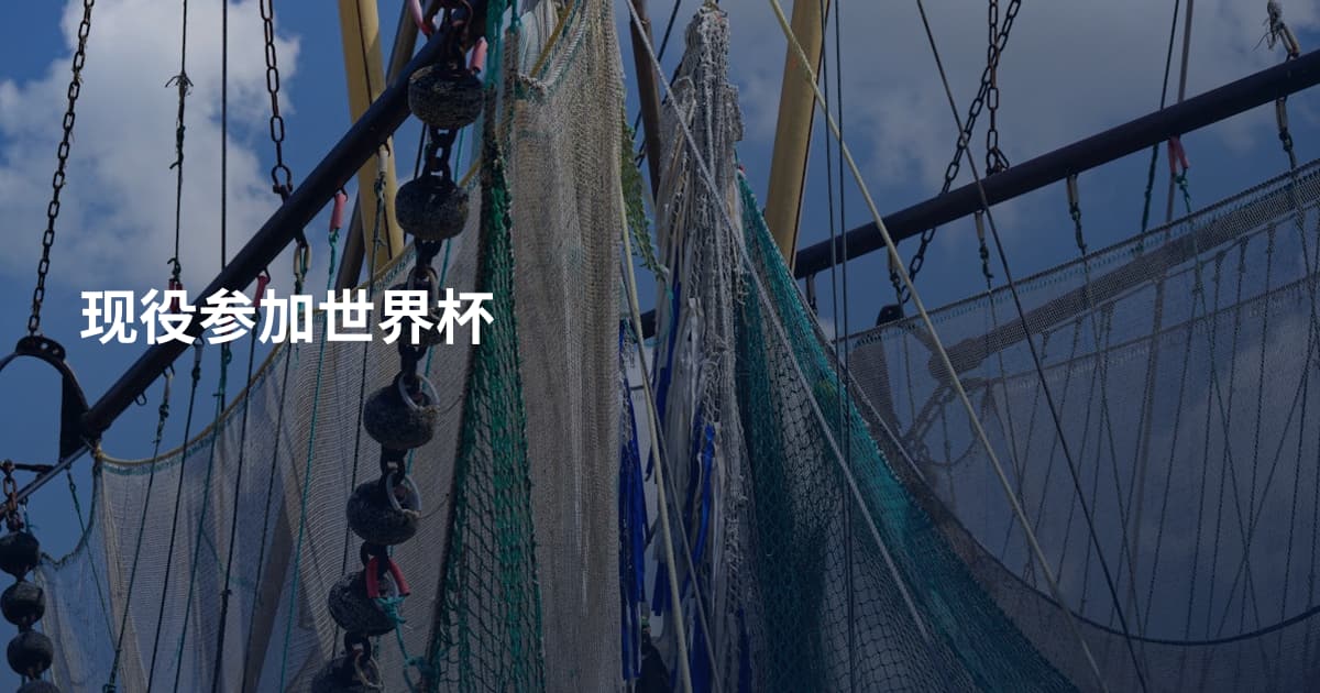 现役参加世界杯