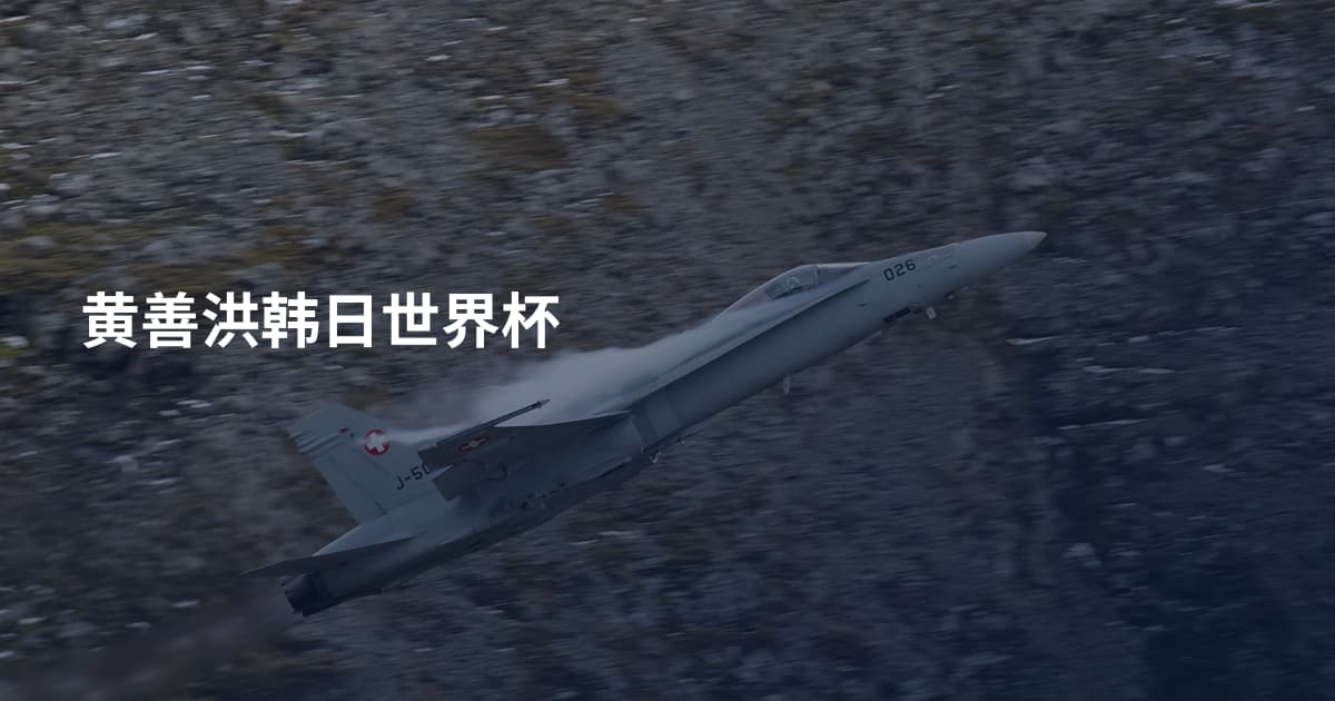 黄善洪韩日世界杯