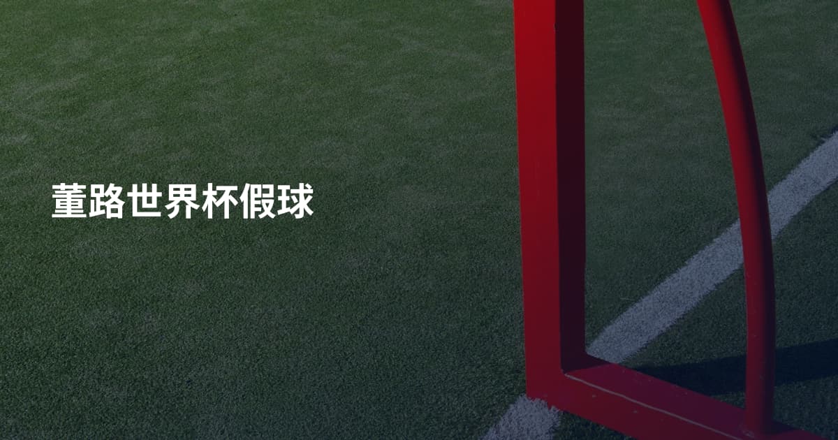 董路世界杯假球