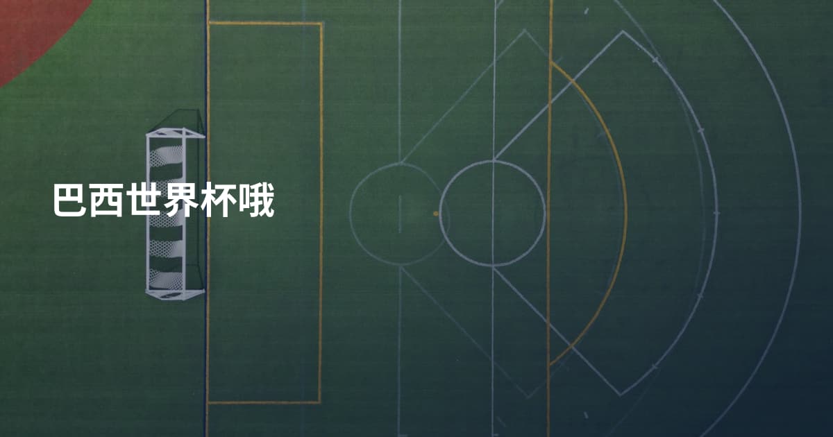 巴西世界杯哦